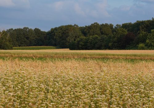 Dé specialist in factuur-automatisering voor de agro sector